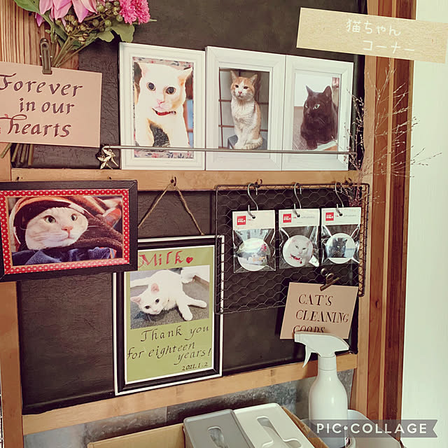 simayaさんの実例写真