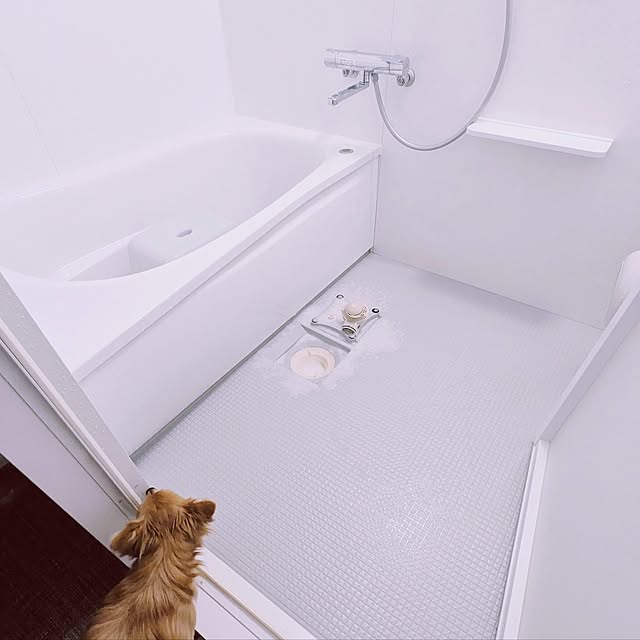 noahさんの実例写真