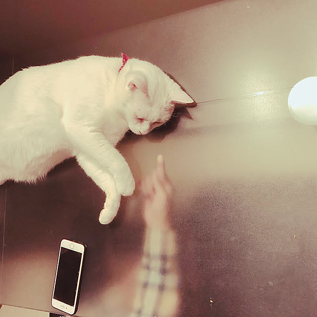 yucoさんの実例写真