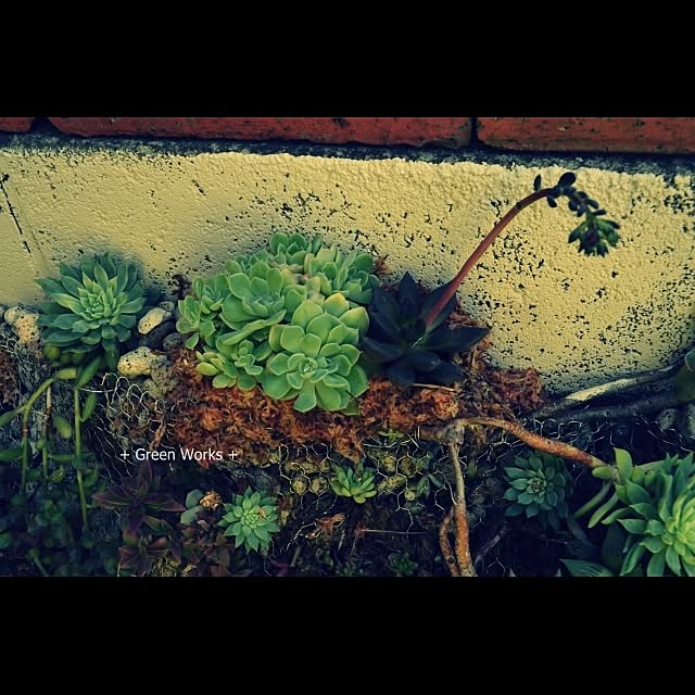 GreenWorksさんの実例写真