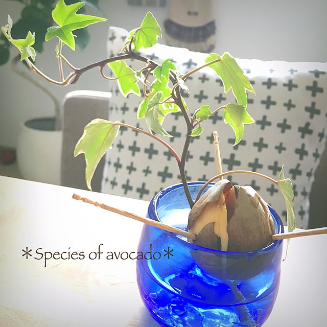 luna.comさんの実例写真