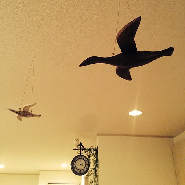 tanikunosukeさんの実例写真