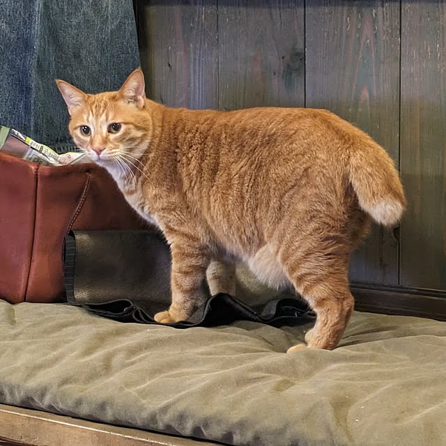 ayuさんの部屋