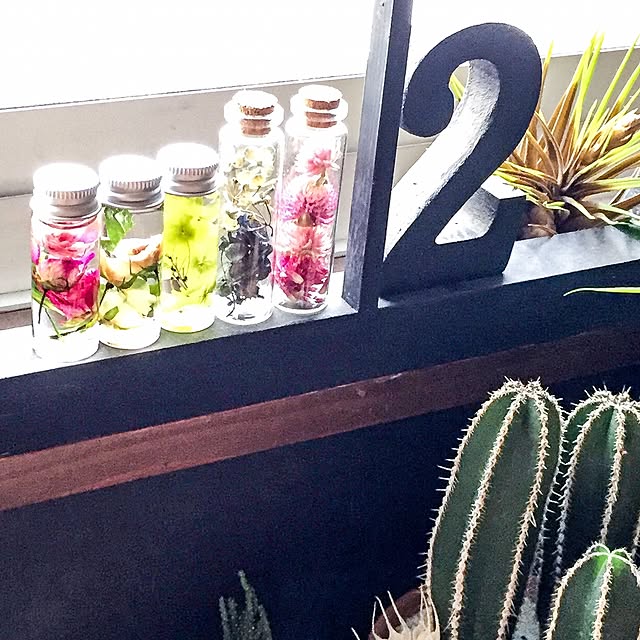 natulove0418さんの実例写真