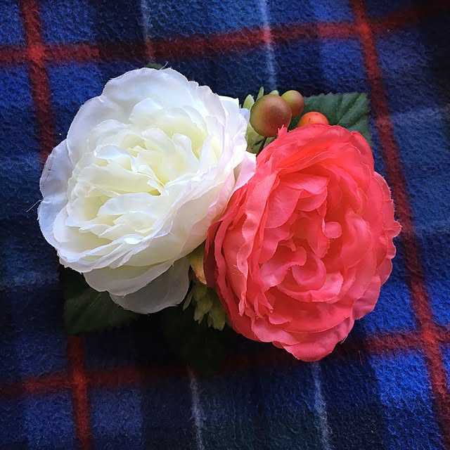 tomsawyerさんの実例写真