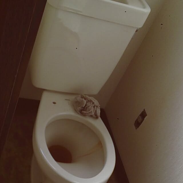 shimaumaさんの実例写真
