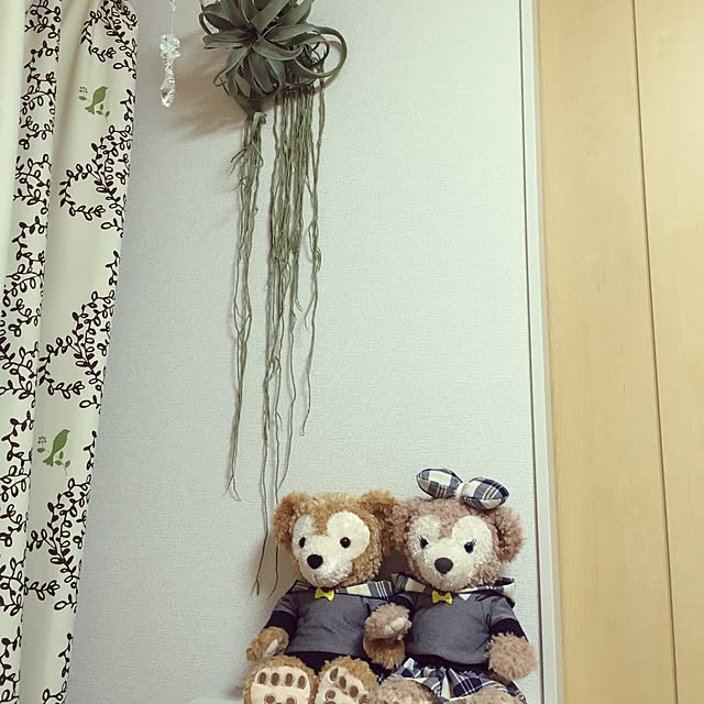 kyaoriさんの実例写真