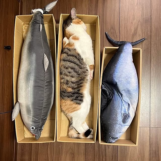 Tackunさんの実例写真