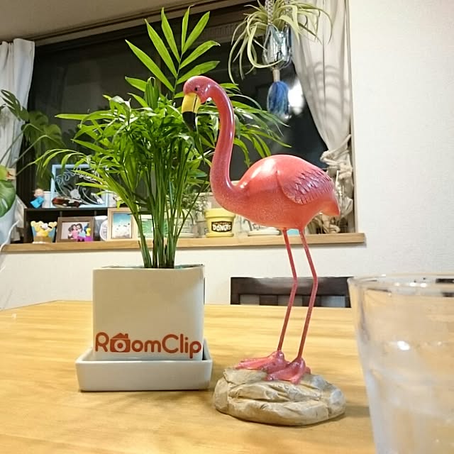 maiさんの実例写真