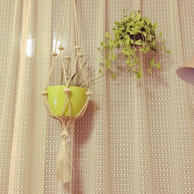 yuuuukiiiさんの実例写真