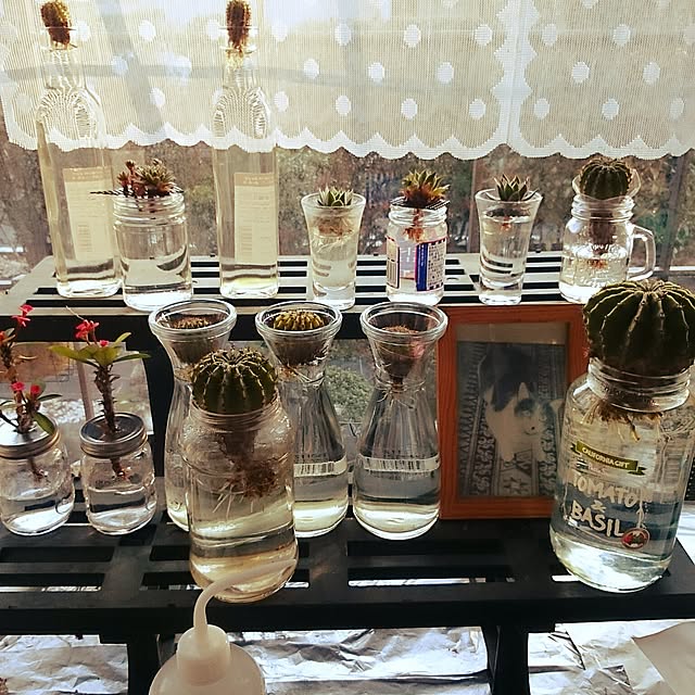 yutorogiさんの実例写真
