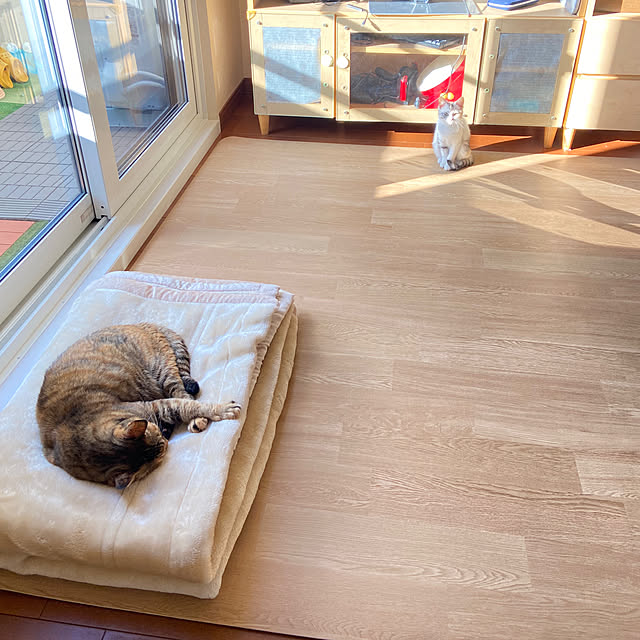 hansho.sさんの部屋