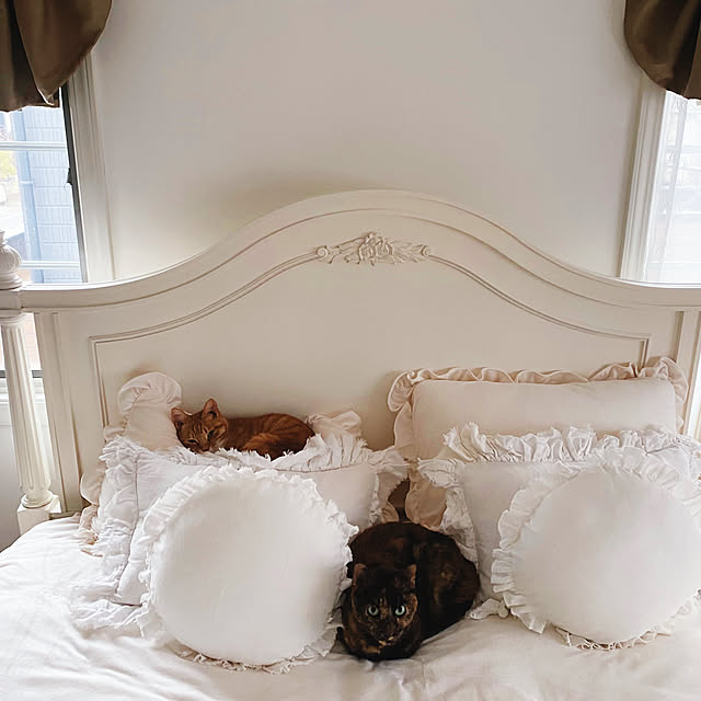 neneさんの実例写真