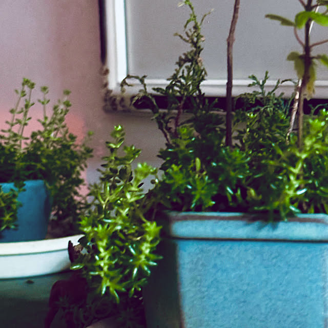 chacoさんの部屋