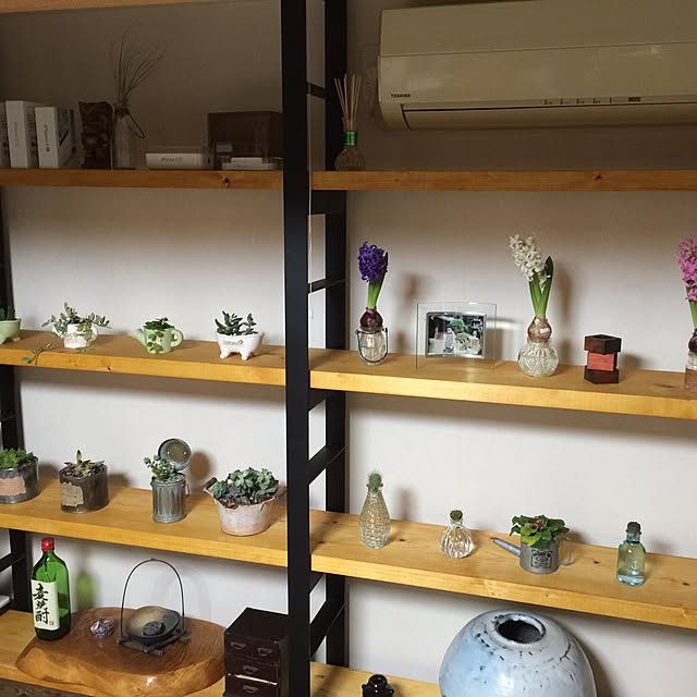 棚/100均/多肉植物/観葉植物/ダイソーのインテリア実例 - 2016-02-16 09:02:26