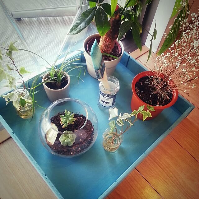 ynecoさんの実例写真
