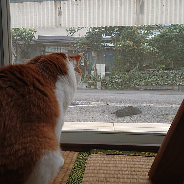 mugi77327732さんの実例写真