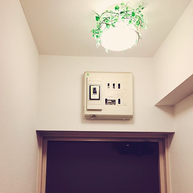 tropico.さんの実例写真