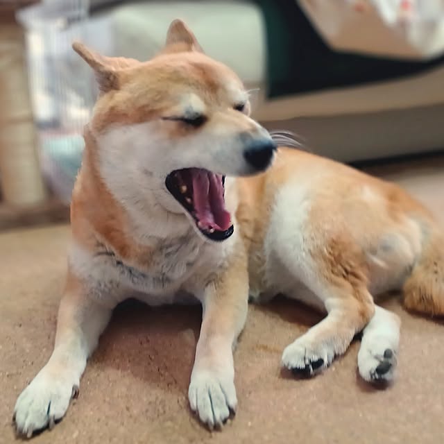 nanaさんの部屋
