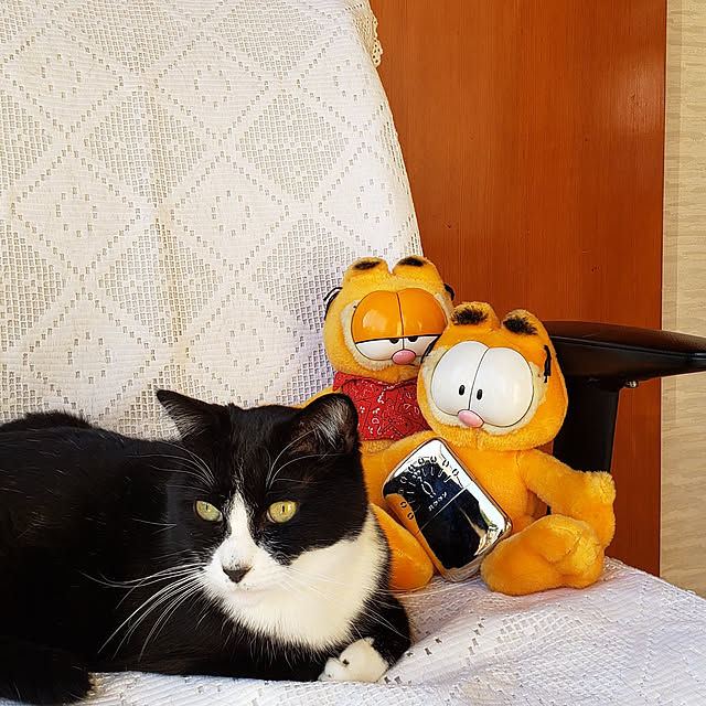 Mayumi8888さんの実例写真