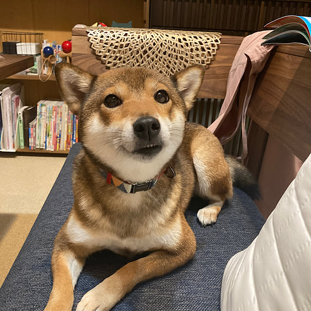 nocomomさんの部屋