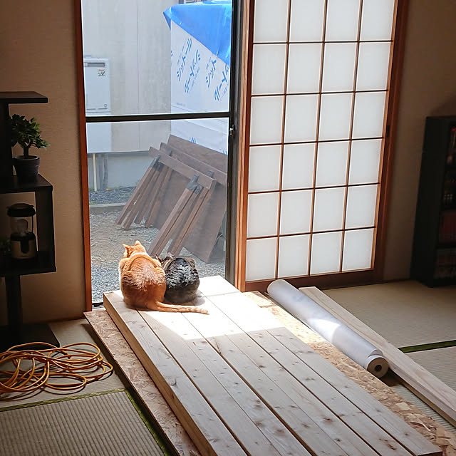 taka-kiさんの実例写真