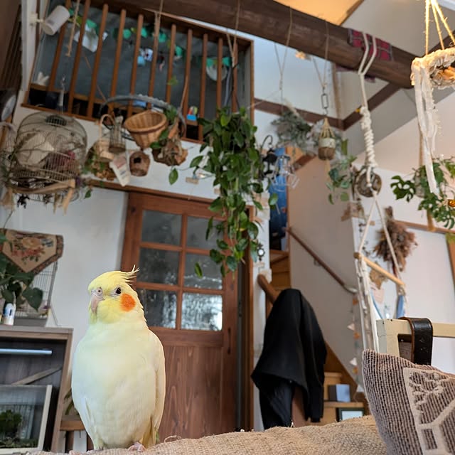 akiさんの部屋