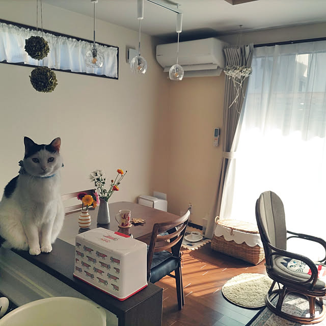 yuuさんの実例写真