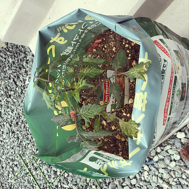 kasumimixさんの実例写真