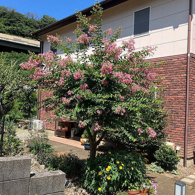 ikubooさんの実例写真