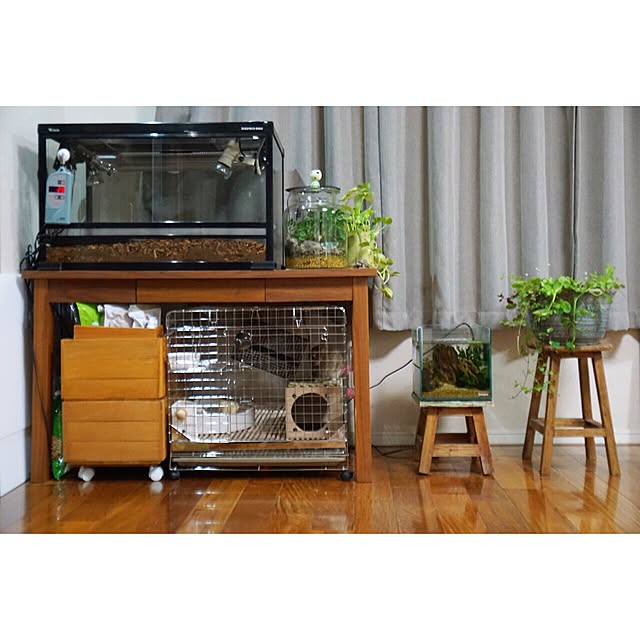 mini32bickyさんの実例写真