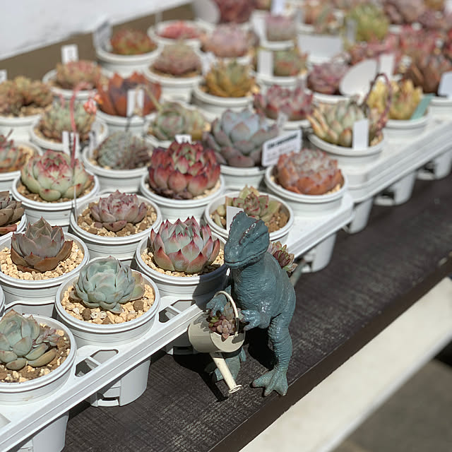 yumさんの部屋