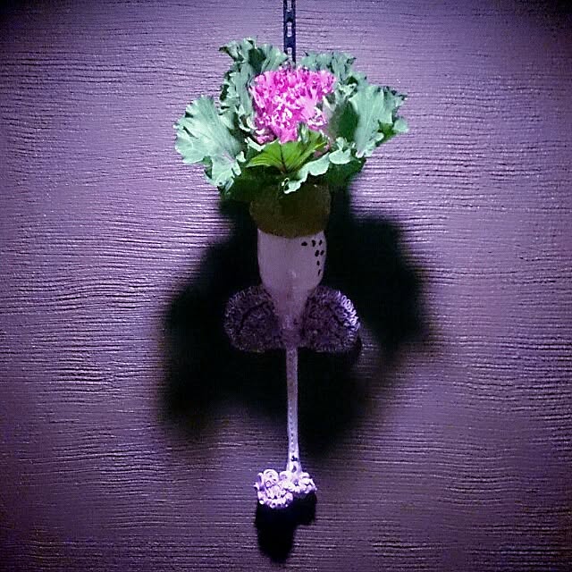 Gravityさんの実例写真