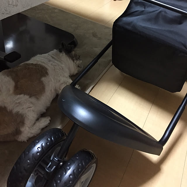 emiさんの実例写真