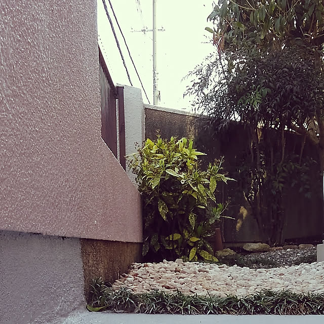 Renさんの実例写真