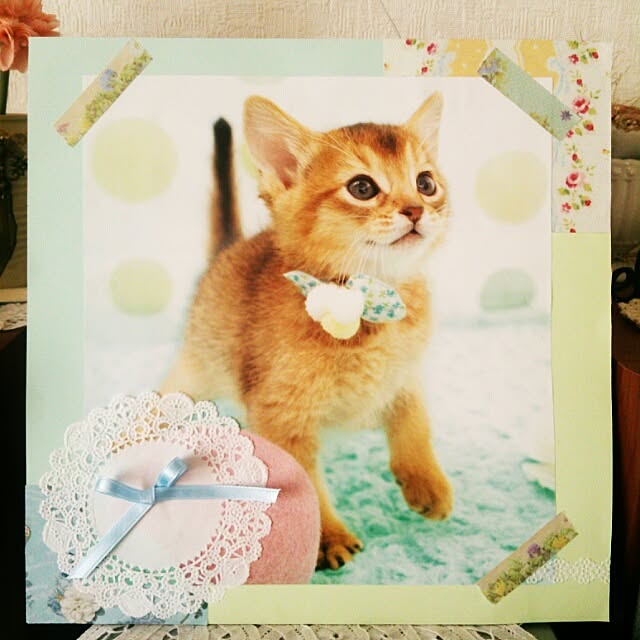 sarahさんの実例写真