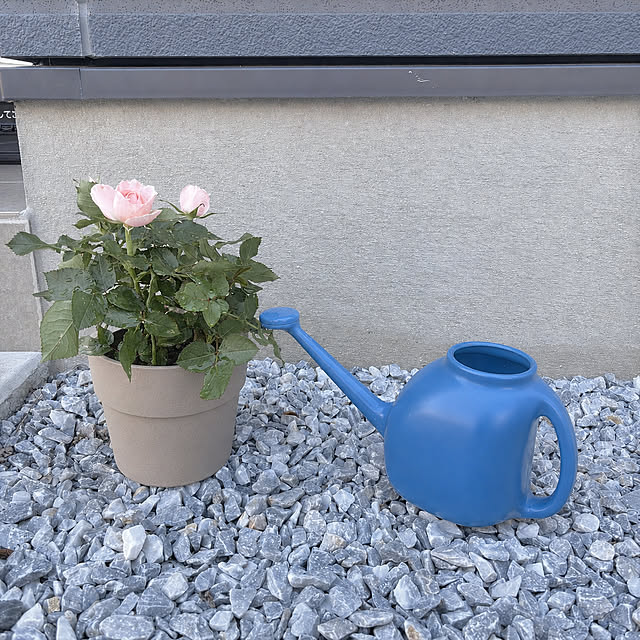 mameさんの実例写真