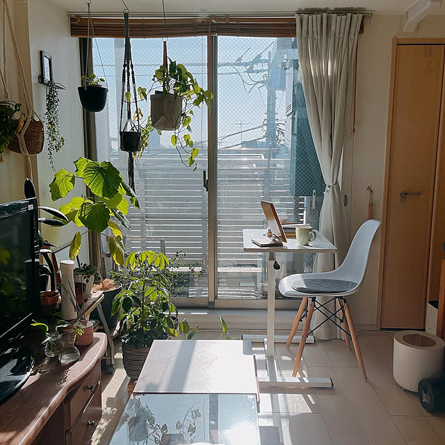 mikiteacupさんの部屋