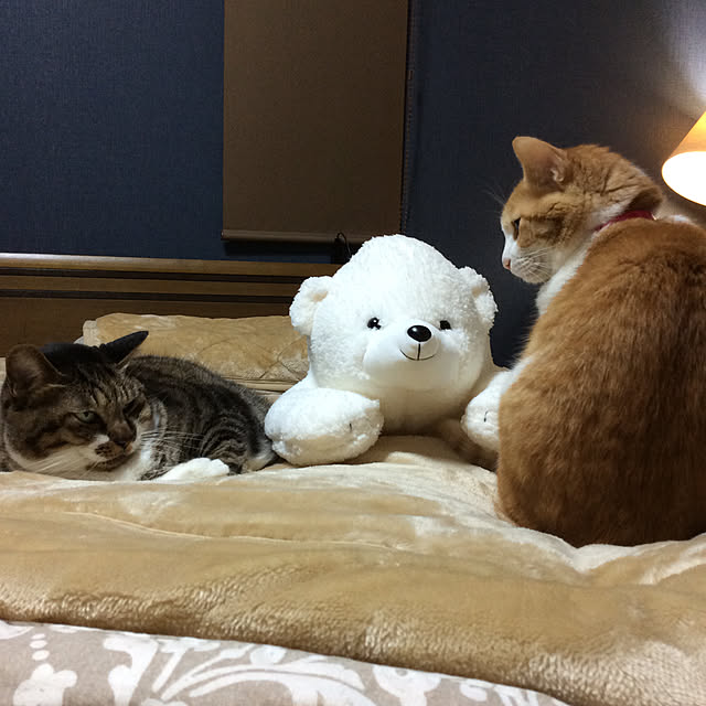 houenさんの実例写真