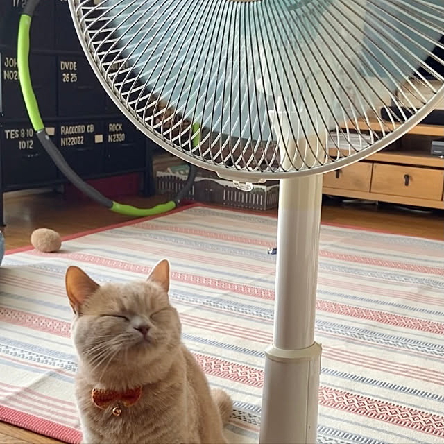 tomoさんの実例写真