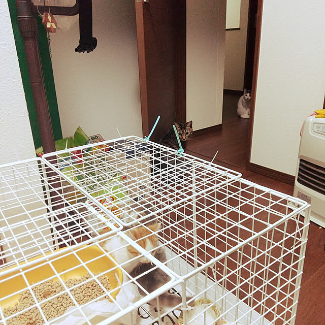 Mikaさんの実例写真