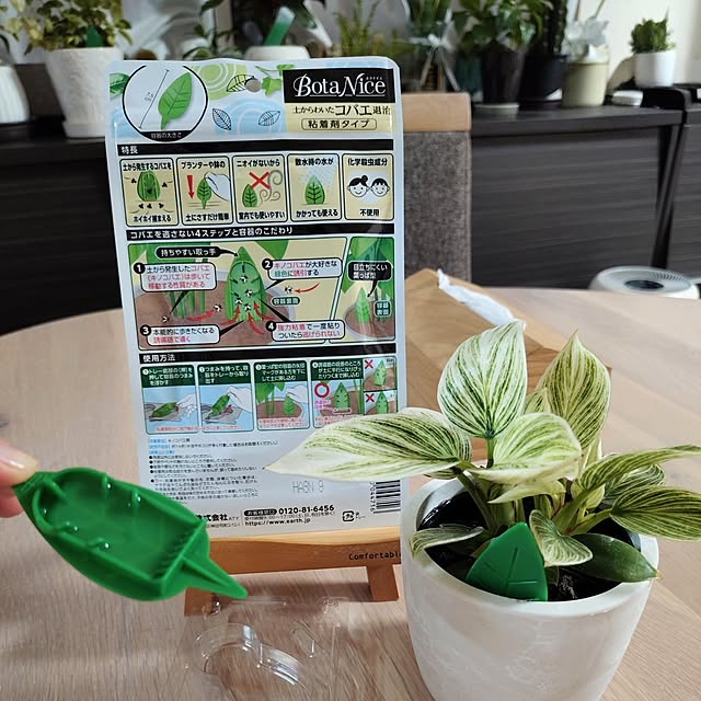 coconathuさんの部屋