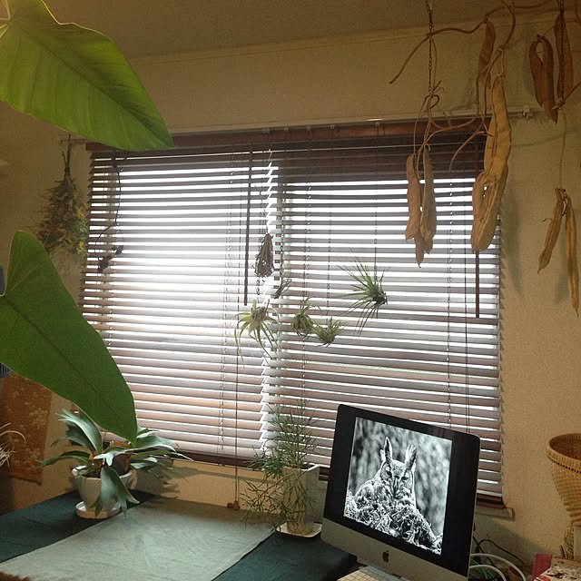 matokoさんの実例写真