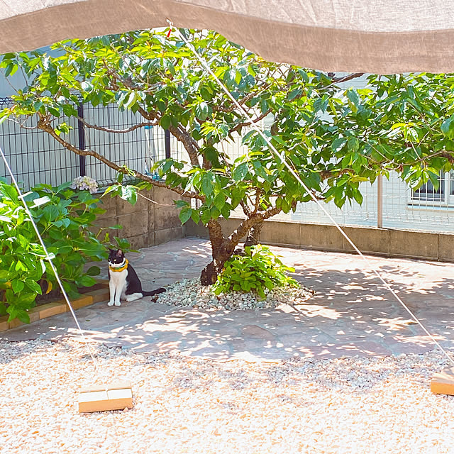 moolさんの部屋