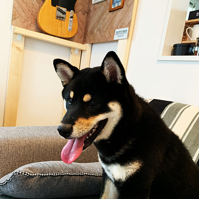 yurikoさんの部屋