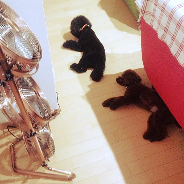 sakuranetto3310さんの実例写真