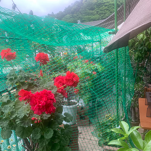 Aqettyさんの部屋