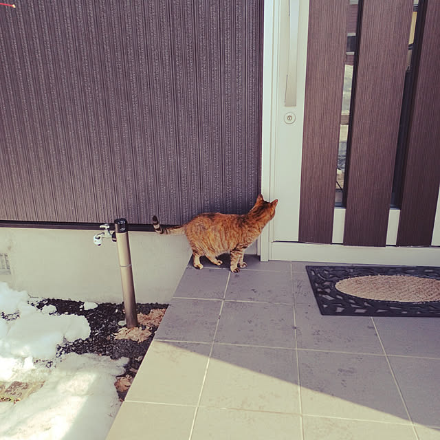 nrさんの実例写真