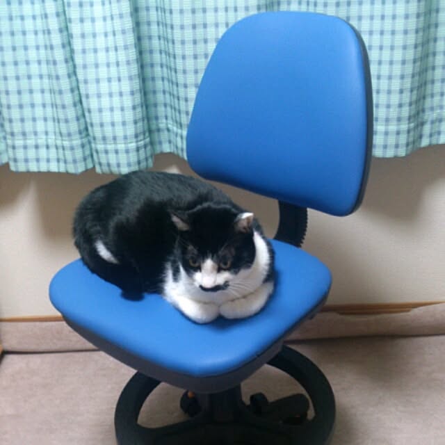 oliveさんの実例写真