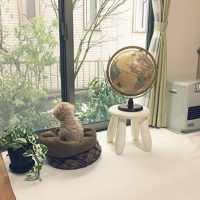 Mさんの実例写真